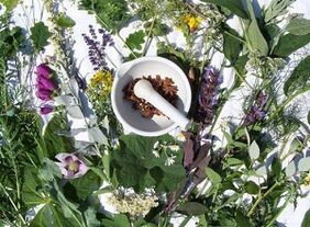 gyógynövények az osteochondrosis kezelésére